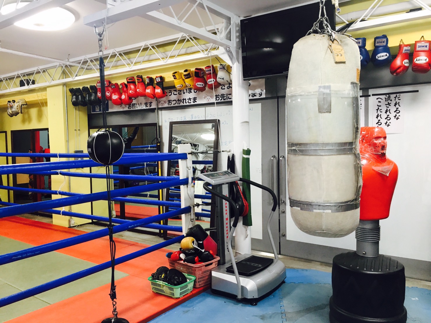 水着ボクシングジム若林利成